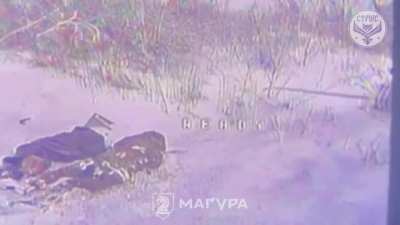 Two russian invaders attempted to evacuate a wounded occupier, but all three were eliminated by an FPV drone from Ukraine's 