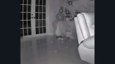 Cat causes abrupt chaos