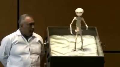 Is this the original footage ? Thanks.