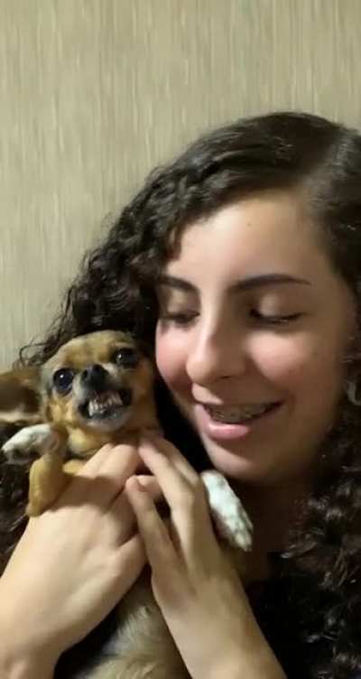 My sister just got bit on the nose by our currently possessed dog