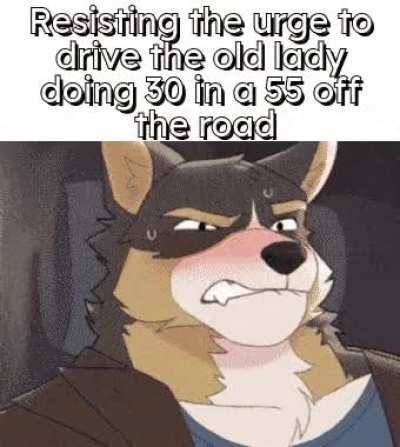 Furry_irl