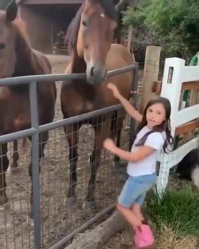 Sending some love to your horses can make others jealous.