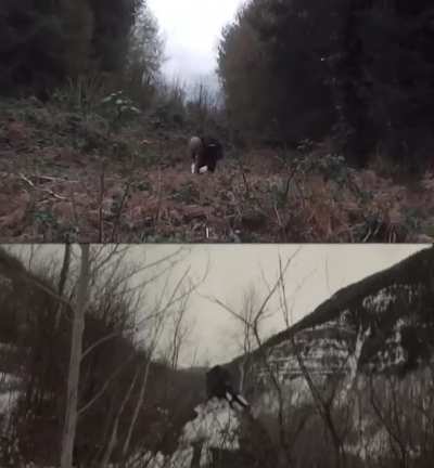 ‪Both these music videos have similarities:‬ 1. The beat breakdown during the last minute‬ ‪ 2. The dancing 💀‬