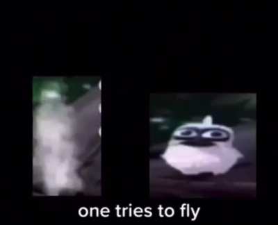Interesting title