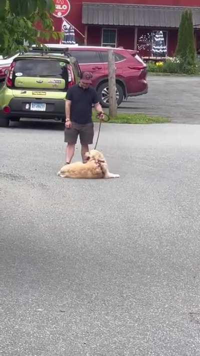 To not go home