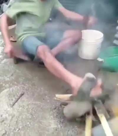 lanchinho