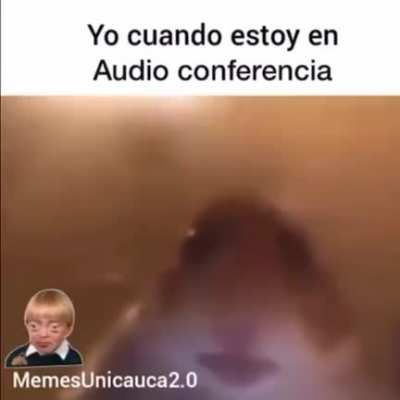No carajo