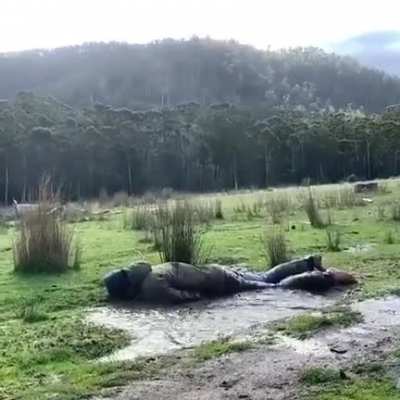 Maybe Maybe Maybe