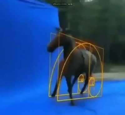 Spin