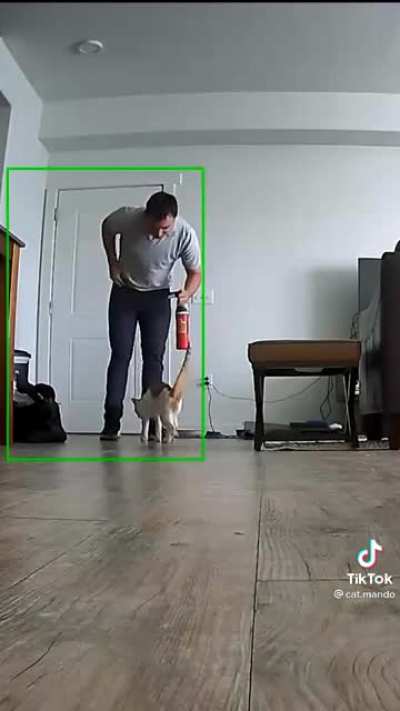 Cat’s reaction to getting home from work