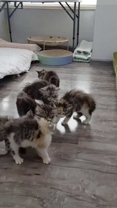 Can’t we all get along?