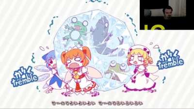average touhou fan