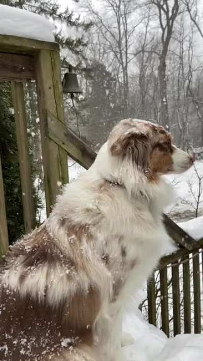 Snowy Thursday