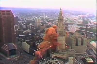 Balloonfest ‘86, an event in Cleveland, Ohio, which set a world record by releasing almost 1.5 million balloons. This event caused two indirect deaths, permanent injuries of multiple horses, multiple traffic collisions, multiple lawsuits, and the pollutio