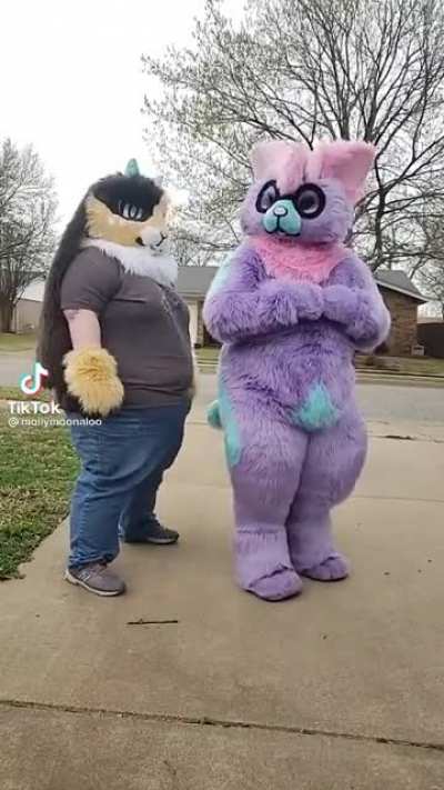Ha ha poggy poggers meme sus😎😎😎