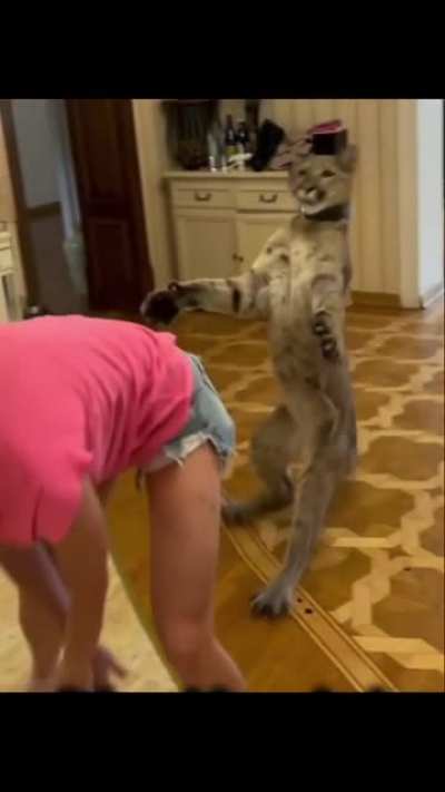 hmm