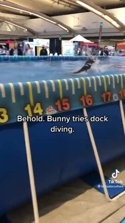 Bunny tried her best