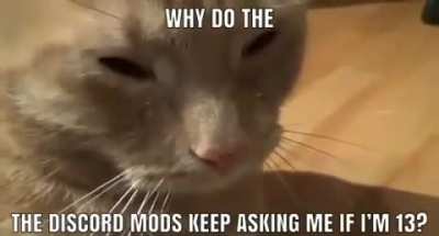 Why