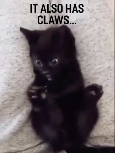 HMF this video with this caption. I found this in reddit but when I search all I get i the one with no captions, nothing. And I downloaded this video but couldn't send this to anyone. So please hmf