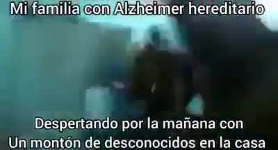 Xd