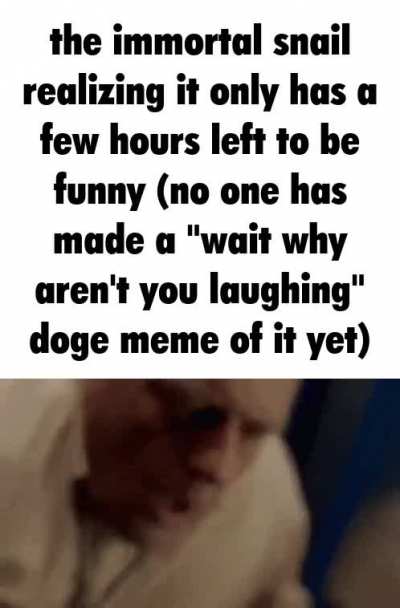 OH I'M SAYING IT