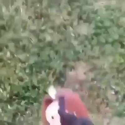 Nunca gostei dela