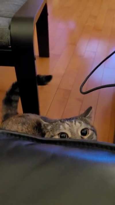 Be afraid