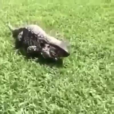 В рот мне дышло!