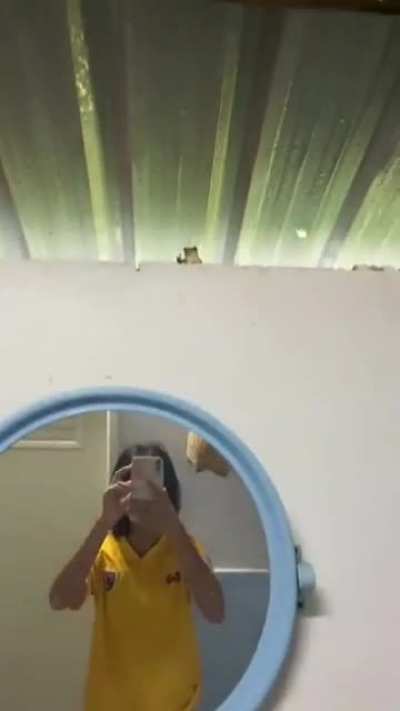 🐸🖕