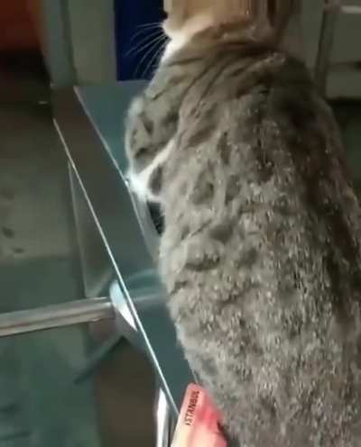 Fare inspector