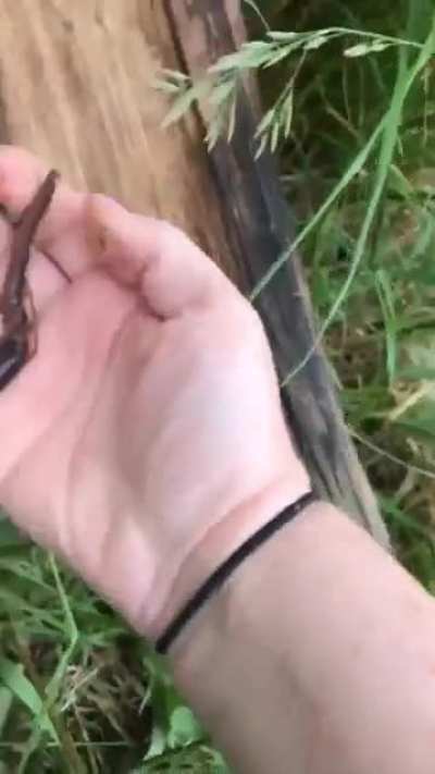 Fuck you bob