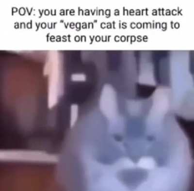 very halal