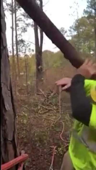 That’s gotta hurt 