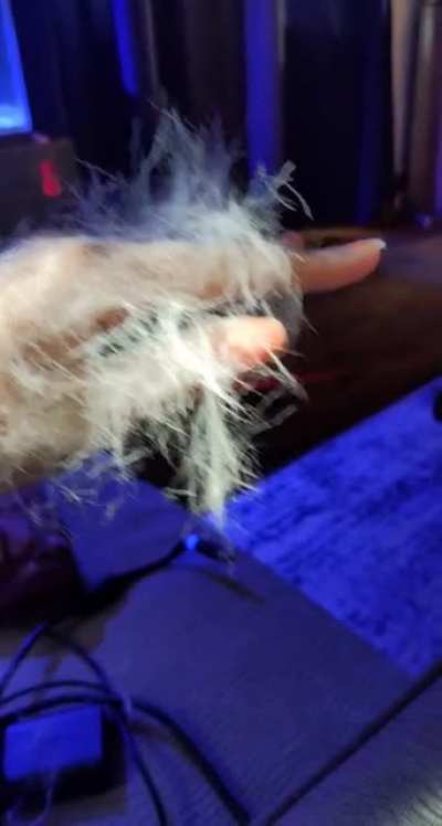 I think he's shedding