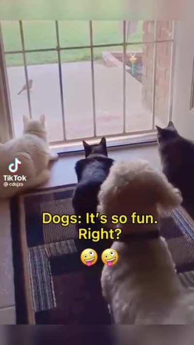 title