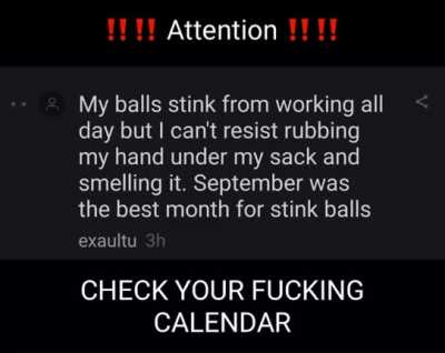 The most wonderful time of the year