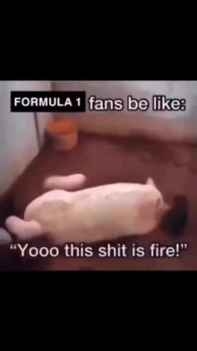 goofy ass edm song