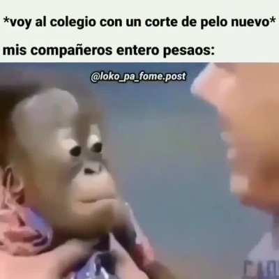 Ola