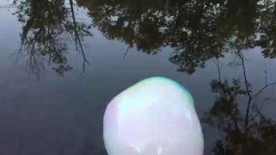 Smoke & Bubbles
