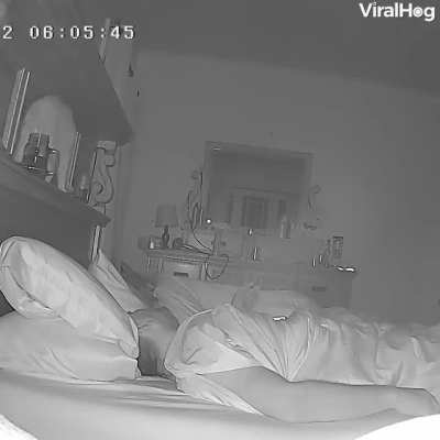Cat: 1 Sleep: 0