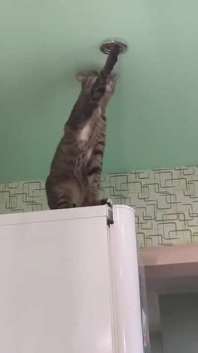 He Stuck