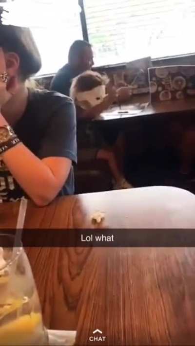 Psycho Jr
