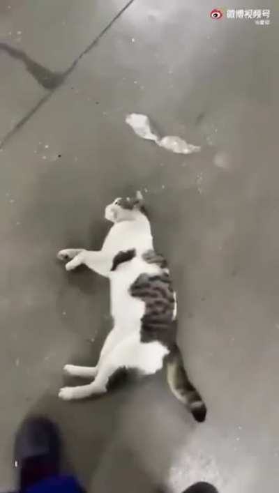 The sliding cuddle roll