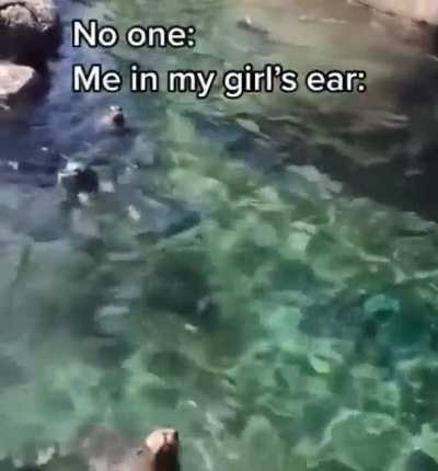 AUUUAGHHH