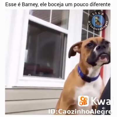 :0