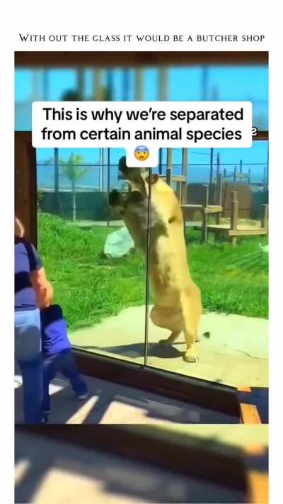 Snackables
