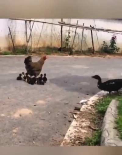 Maybe Maybe Maybe