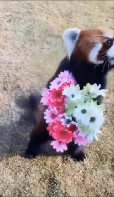 Going on his first date..