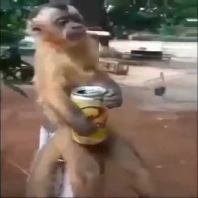 música por favor