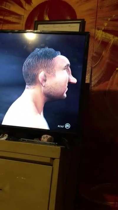 up and coming ufc champion